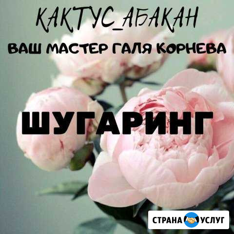 Шугаринг Абакан Абакан - изображение 1