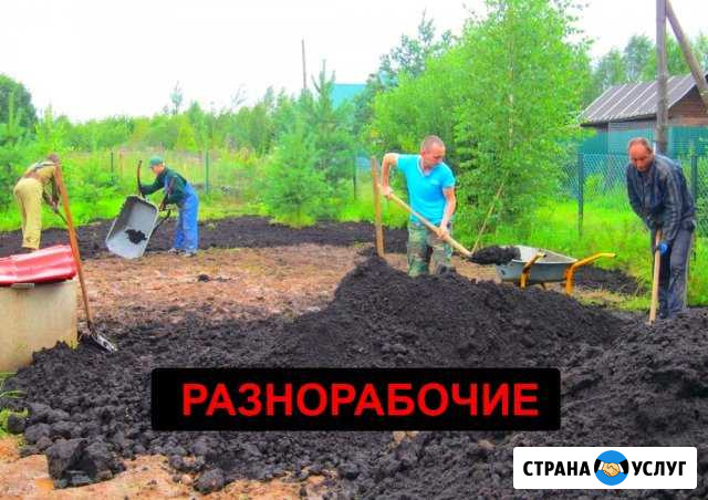 Разнорабочие Новосибирск - изображение 1