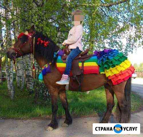 Добрые нарядные пони и ослик на детский праздник Кострома