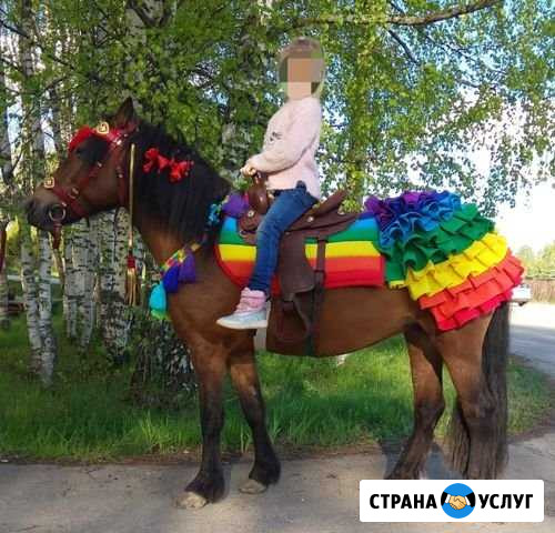 Добрые нарядные пони и ослик на детский праздник Кострома - изображение 1