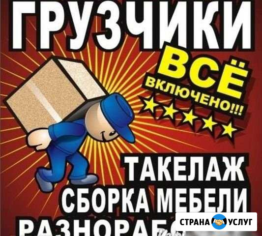 Грузчики - Доставки Калининград - изображение 1