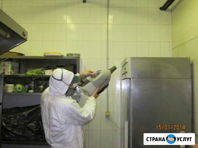 Санобработка тараканов, мышей, вирусов, деревьев Тольятти - изображение 1