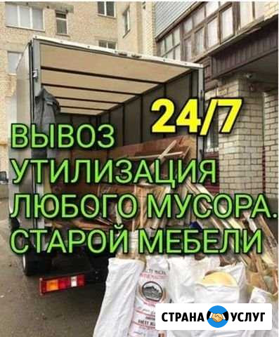 Вывоз мусора Сестрорецк - изображение 1