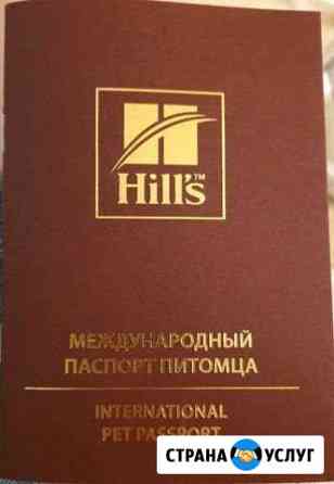 Международный паспорт питомца Челябинск