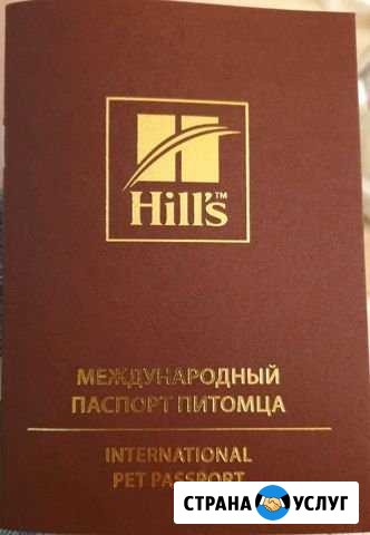 Международный паспорт питомца Челябинск - изображение 1