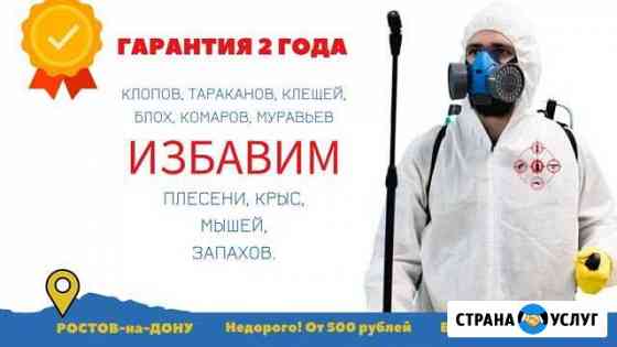 Уничтожение клопов, тараканов, комаров, грызунов Ростов-на-Дону