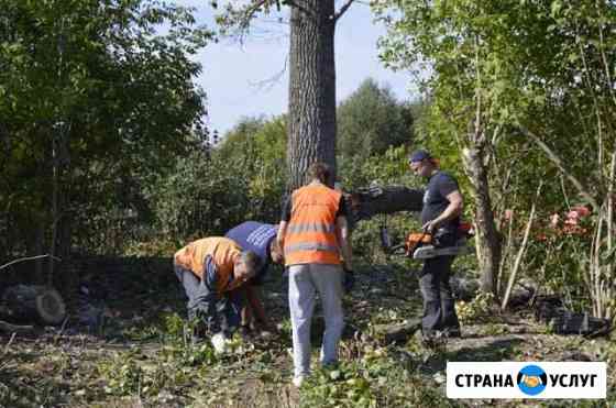 Расчистка Участков в Белгороде и области Белгород