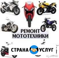 Ремонт мототехники садовой техники Большие Дворы - изображение 1