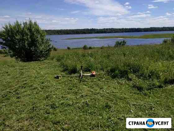 Скашивание, покос травы на земельных участках Мышкин