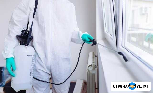 Обработка от тараканов, клопов, вирусов, плесени Брянск - изображение 1