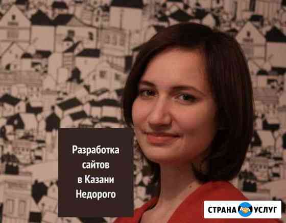 Разработка сайтов / контекстная реклама Казань