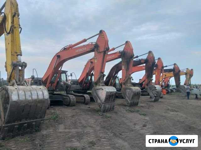 Аренда спецтехники Елизаветинское - изображение 1