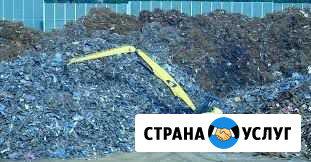 Сбор, вывоз и утилизация отходов 4-5 класса Екатеринбург - изображение 1