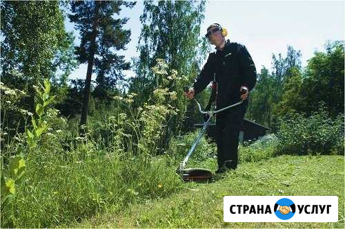 Покос травы Высокое - изображение 1