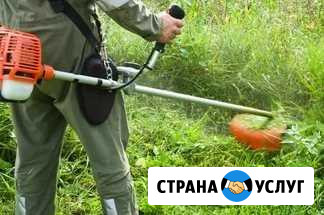 Покос травы триммером и спил деревьев Ровеньки - изображение 1