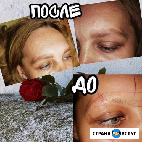 Бровист Илек - изображение 1
