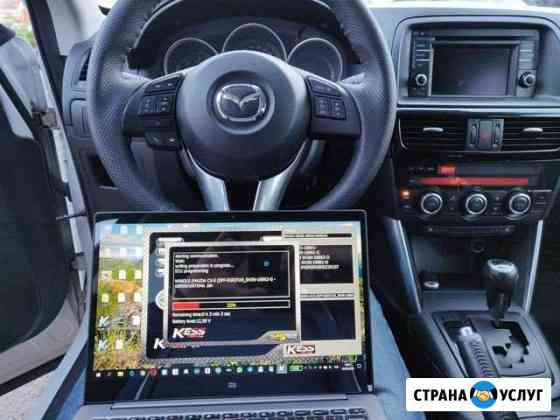Удаление катализатора чип тюнинг прошивка Mazda Иркутск