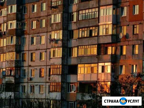 Выгул собак Вологда - изображение 1