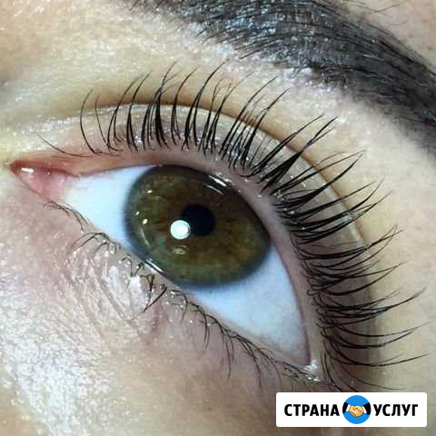 Модель Волгодонск - изображение 1