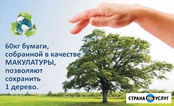 Объявляем сбор макулатуры Саранск