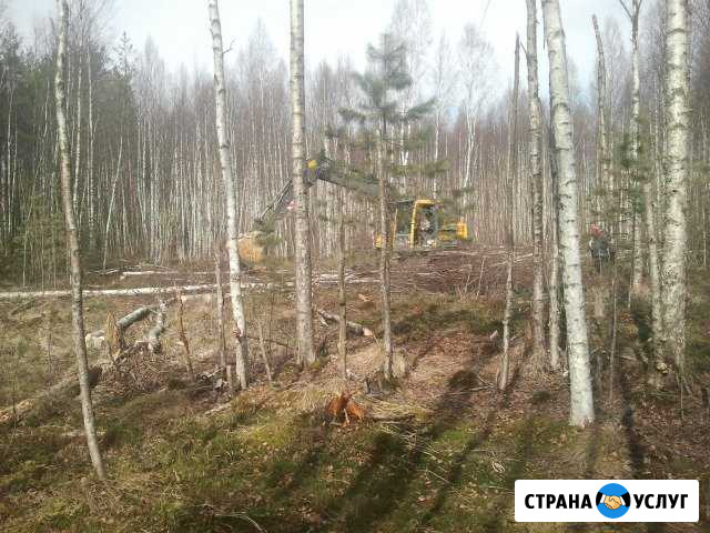 Сдам в аренду болотный экскватор volvo 140 Санкт-Петербург - изображение 1