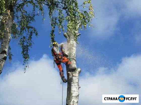 Спил деревьев Югорск