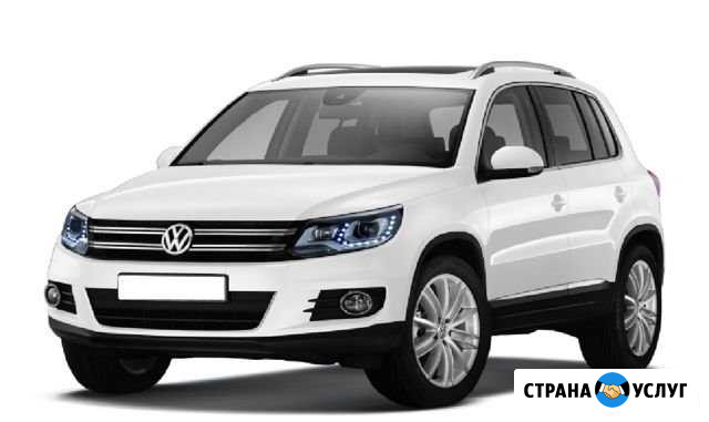 Авто на свадьбу с водителем Белгород - изображение 1