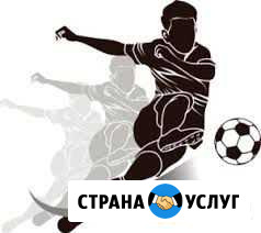 Обучение ставкам на спорт Ростов-на-Дону - изображение 1