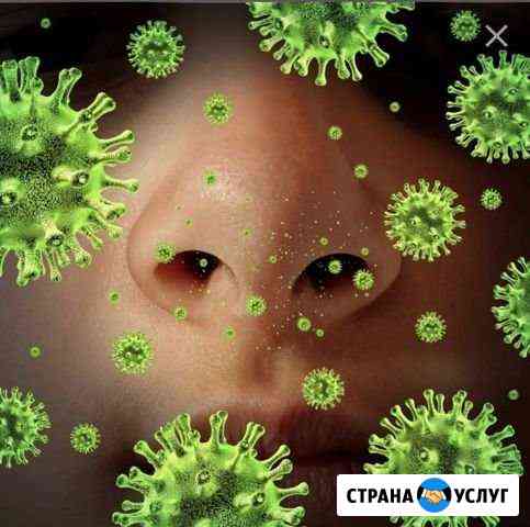 Обеззараживание салона Авто и кондиционера. Борьба Иваново
