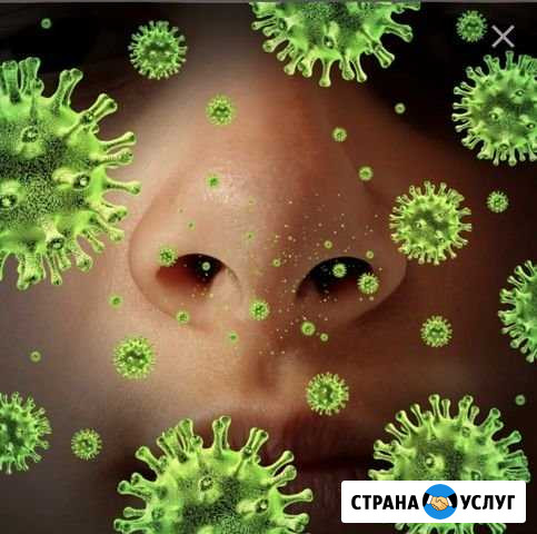 Обеззараживание салона Авто и кондиционера. Борьба Иваново - изображение 1