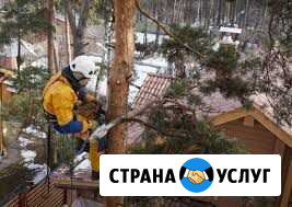 Спил деревьев.Чистка.Вывоз.Корчевание.Выравнивание Иркутск - изображение 1