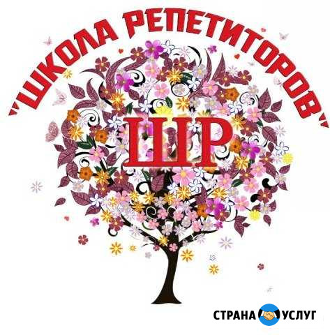 Школа репетиторов Волгоград - изображение 1