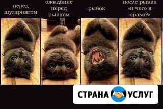 Шугаринг (Летчики) Севастополь