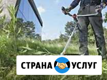 Скошу траву Хомутово - изображение 1