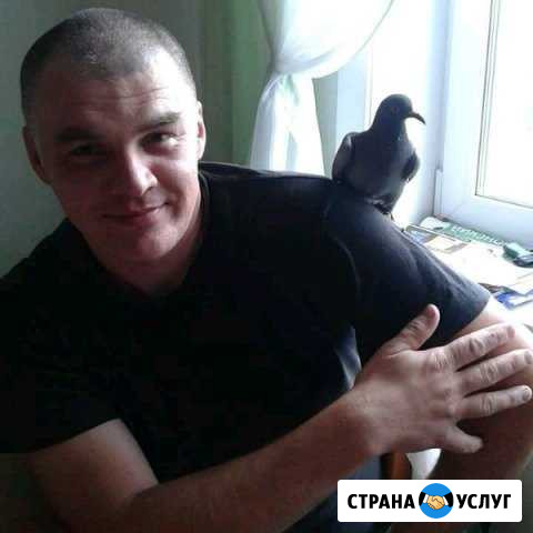 Помощь электрика Первоуральск - изображение 1