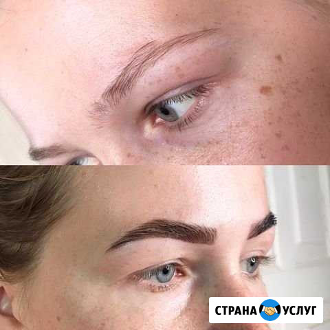 Оформление бровей краской/хной, окрашивание ресниц Еланский - изображение 1
