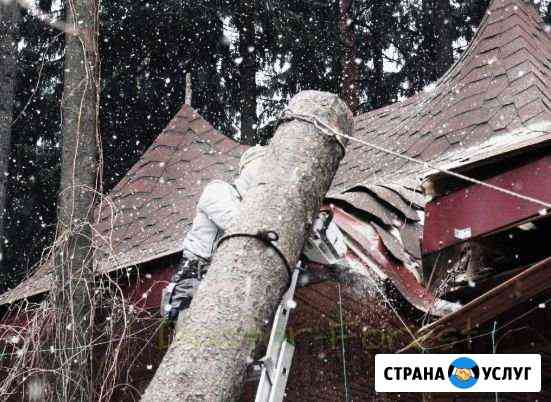 Пилим деревья, обрезка деревьев в сложных условиях Самара