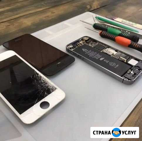 Ремонт техники apple Саратов - изображение 1