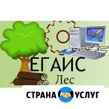 Лесегаис, отчеты ралх, договоры Улан-Удэ - изображение 1