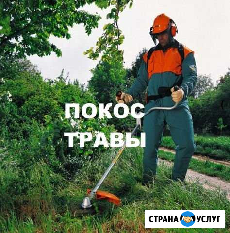 Покос травы Тамбов - изображение 1
