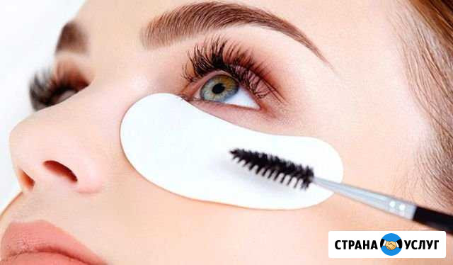 Окрашивание бровей и ресниц Бугуруслан - изображение 1