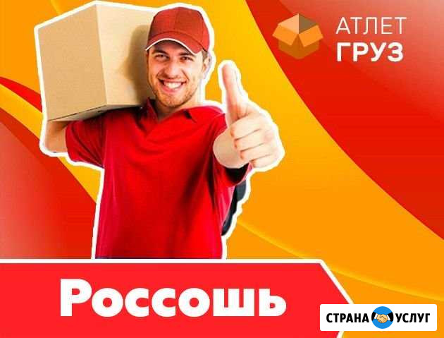 Вывоз мусора - Грузчики - Грузоперевозки - Переезд Россошь - изображение 1