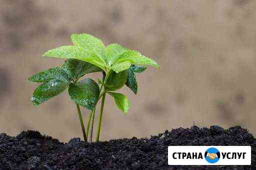 Продам грунт Мурманск