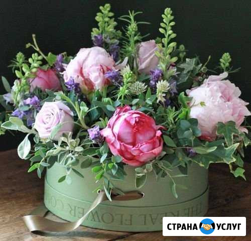 Услуга фотографа Пятигорск - изображение 1