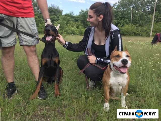 Передержка собак Тульский - изображение 1