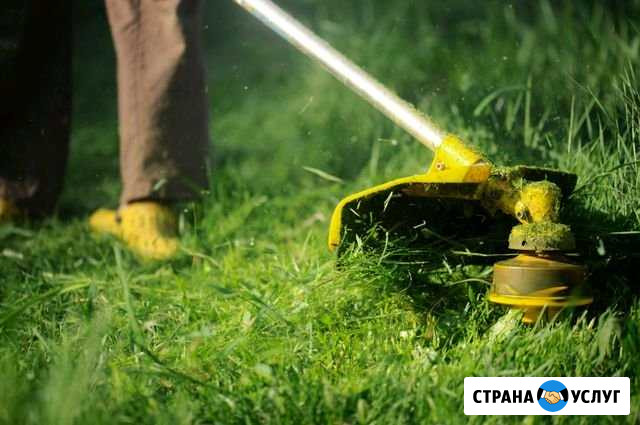 Покос травы(леска,диск) Бузулук - изображение 1