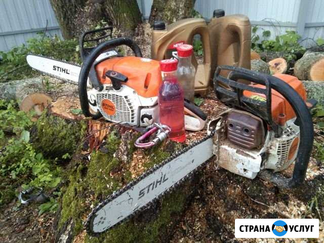 Удаление и кронирование деревьев Видное - изображение 1