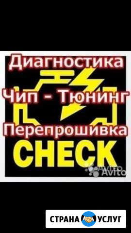 Чип-Тюнинг,Прошивка мозгов, перевод на Евро-2 Североуральск - изображение 1