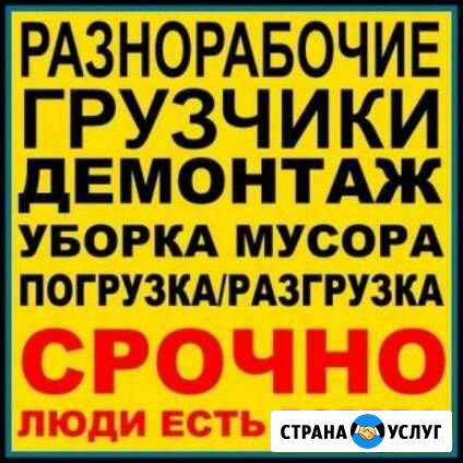 Уборка демонтаж разнорабочие грузчики Вязьма - изображение 1