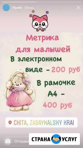 Метрика Чита - изображение 1